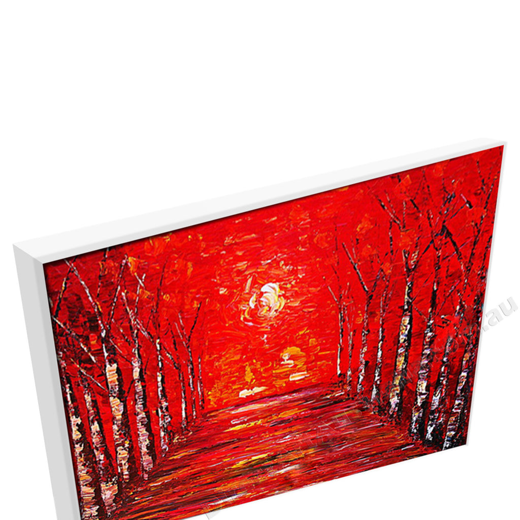 White Floating Frame