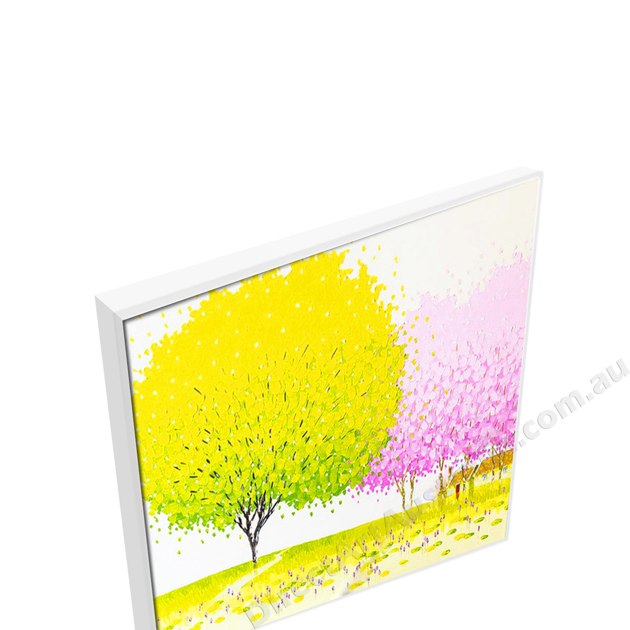 White Floating Frame