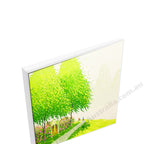 White Floating Frame