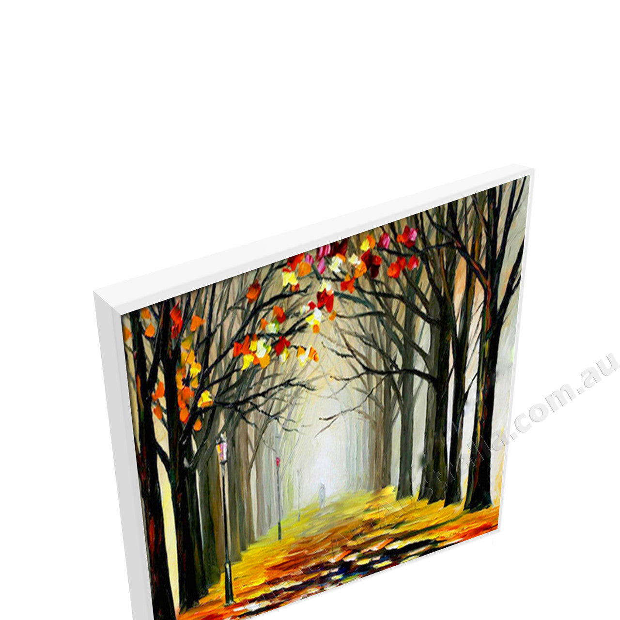 White Floating Frame
