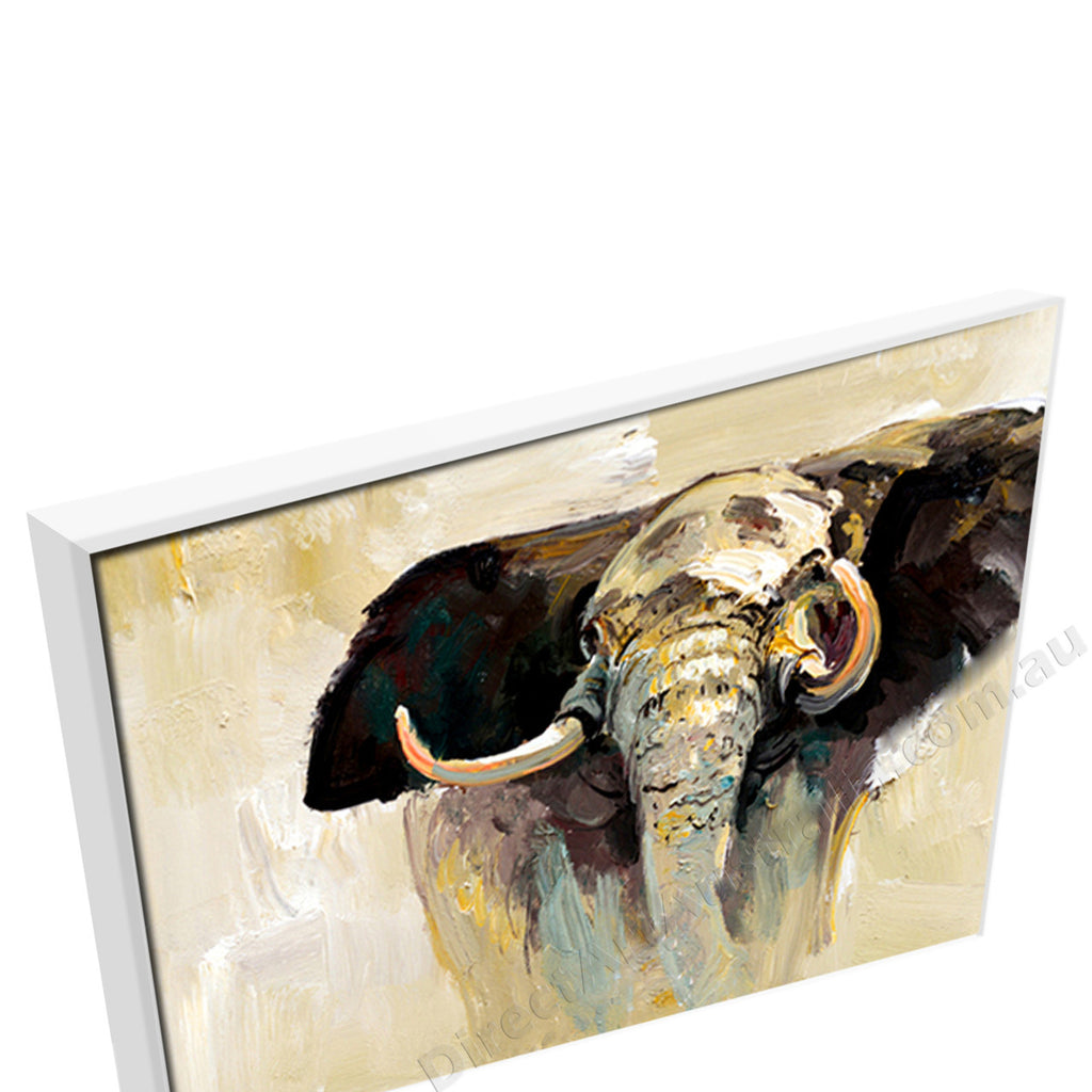 White Floating Frame