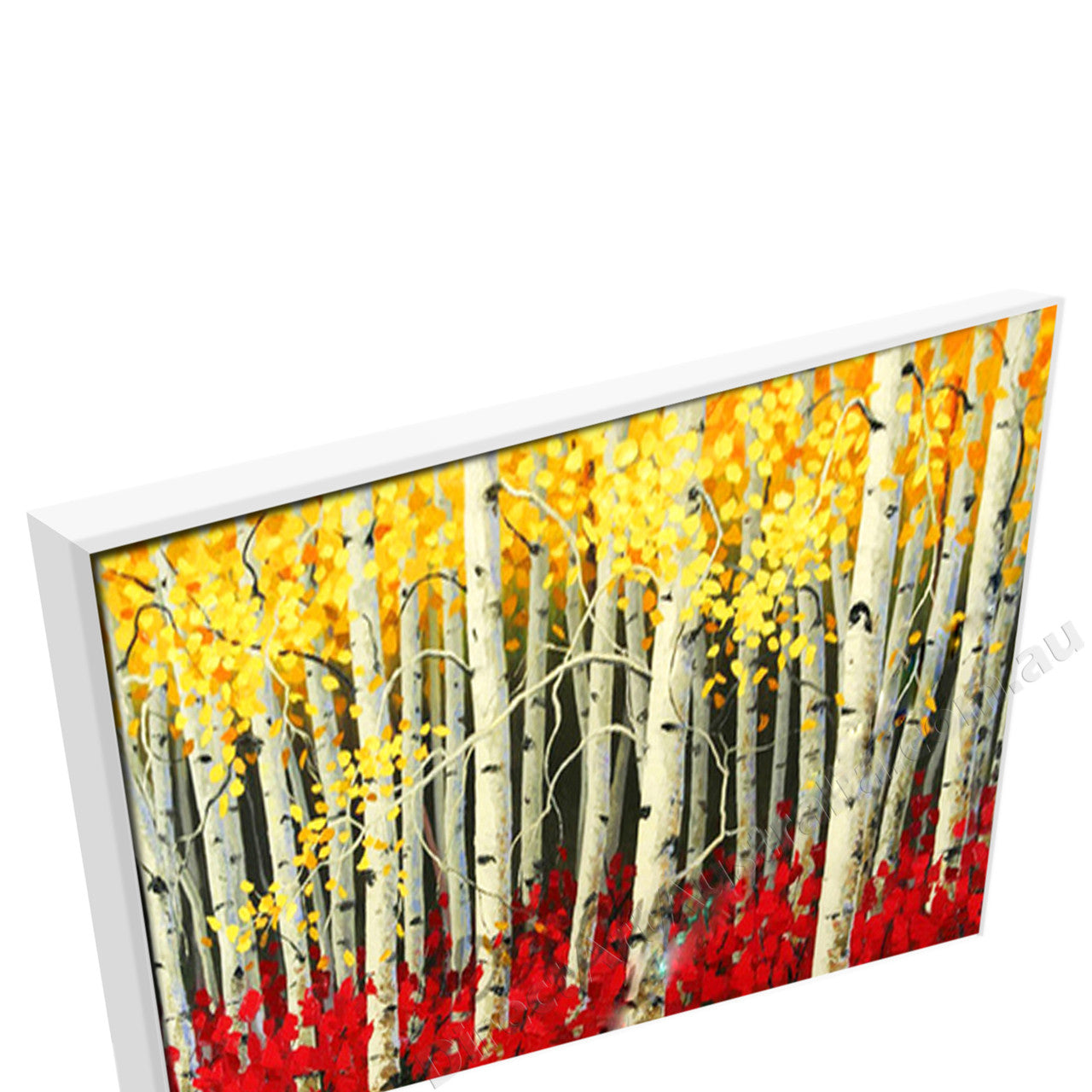 White Floating Frame
