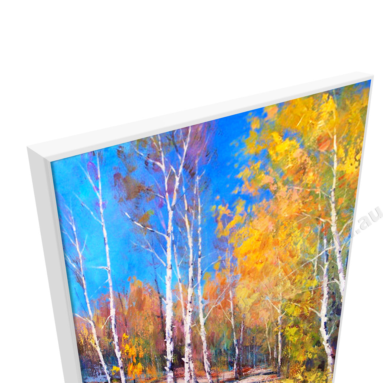 White Floating Frame