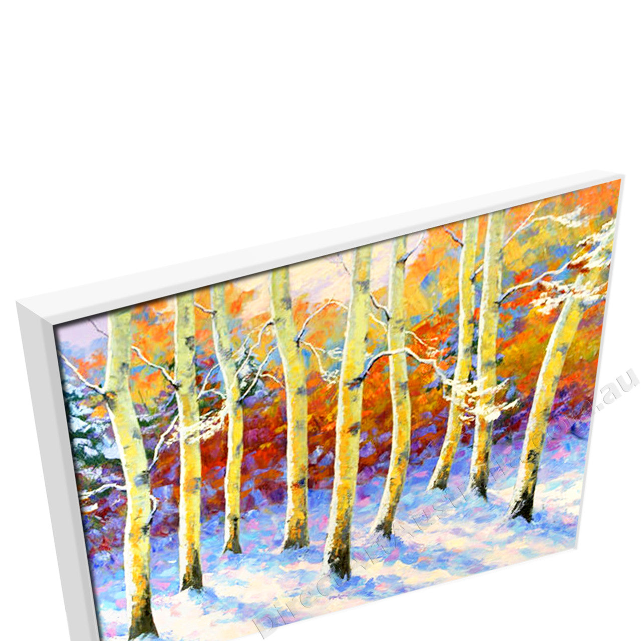 White Floating Frame
