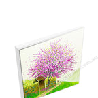White Floating Frame