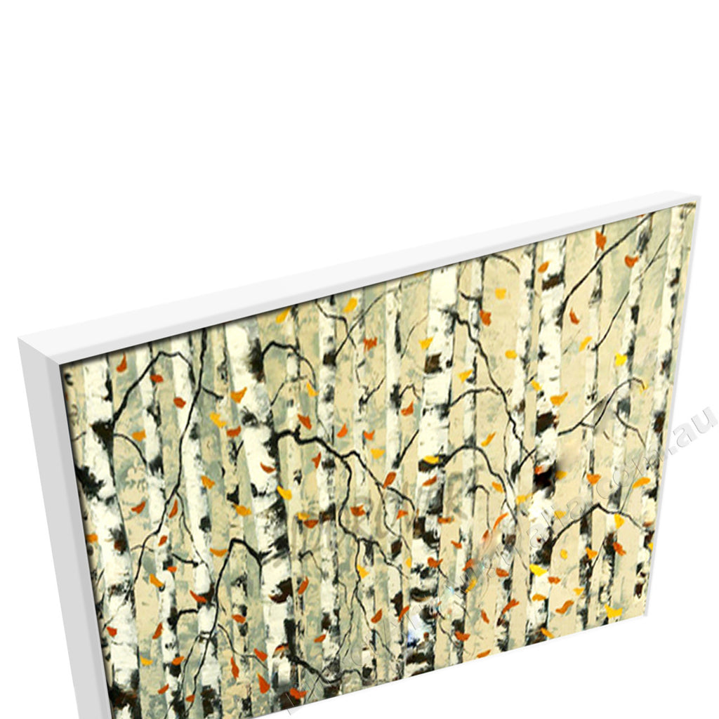 White Floating Frame