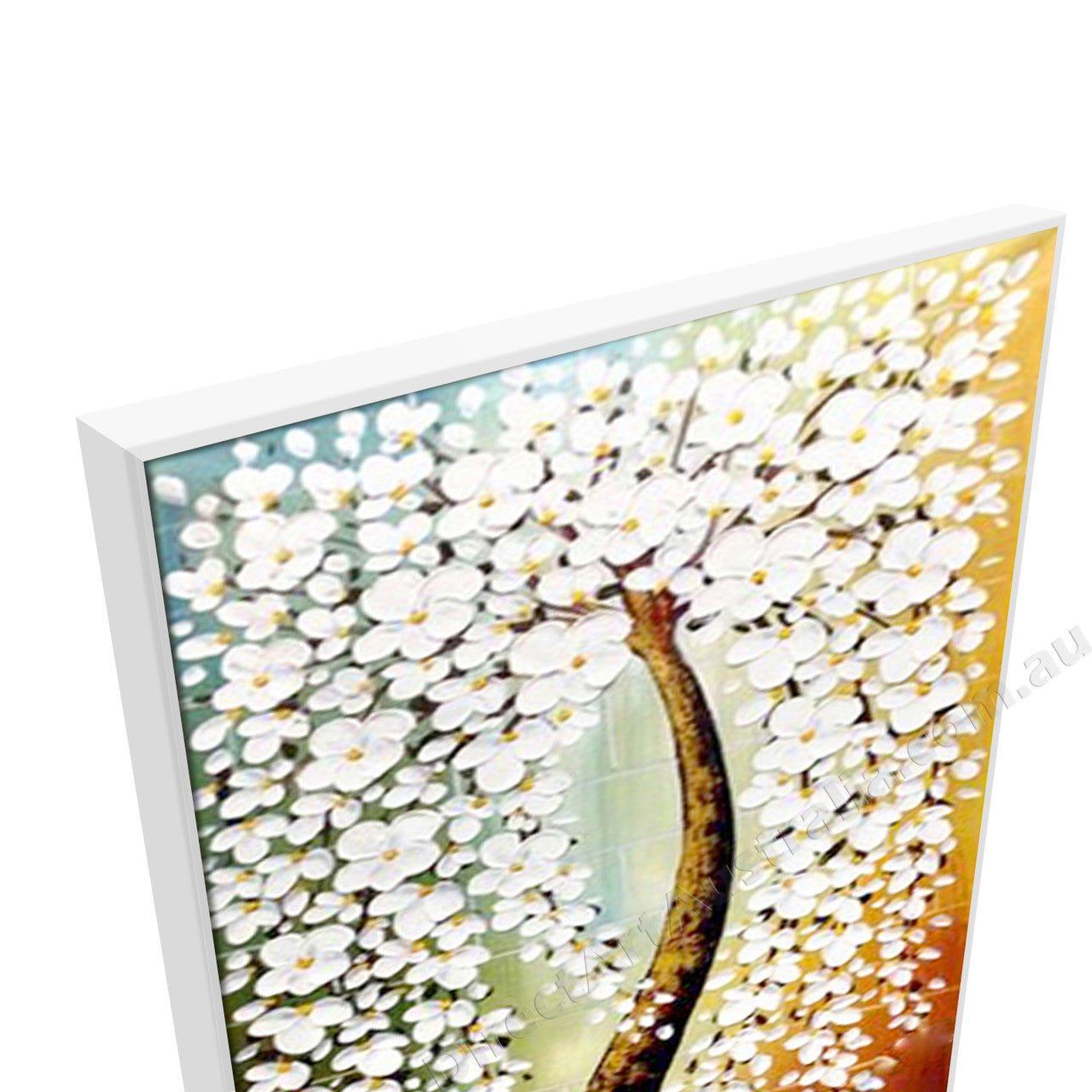 White Floating Frame