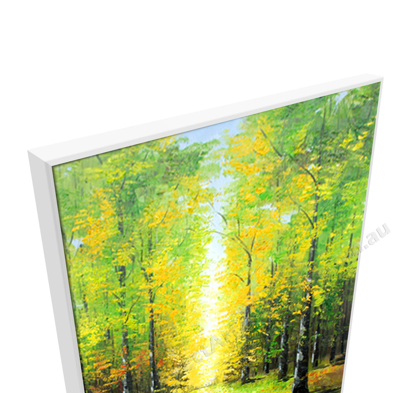 White Floating Frame