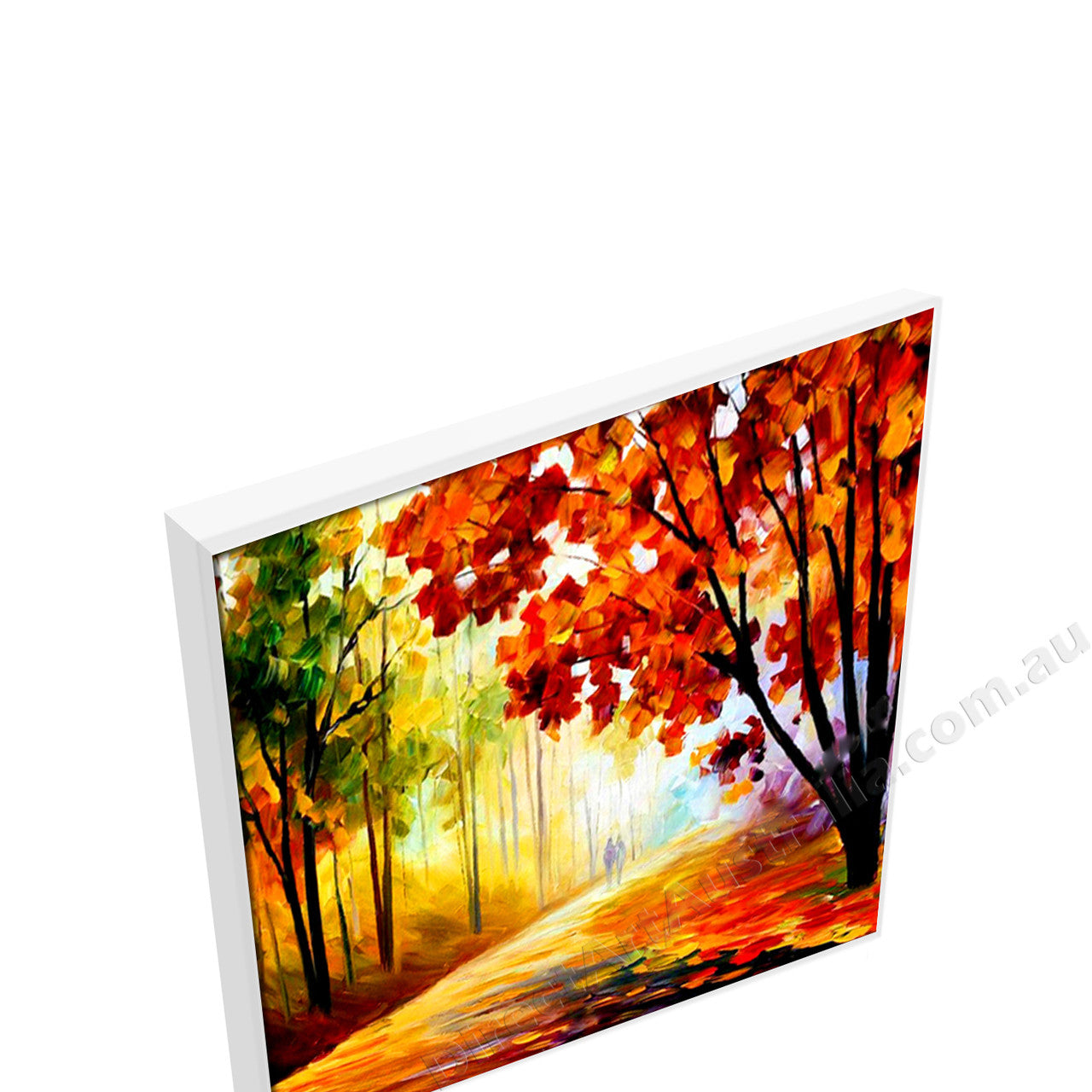 White Floating Frame