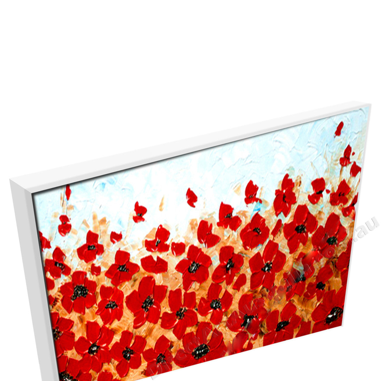 White Floating Frame