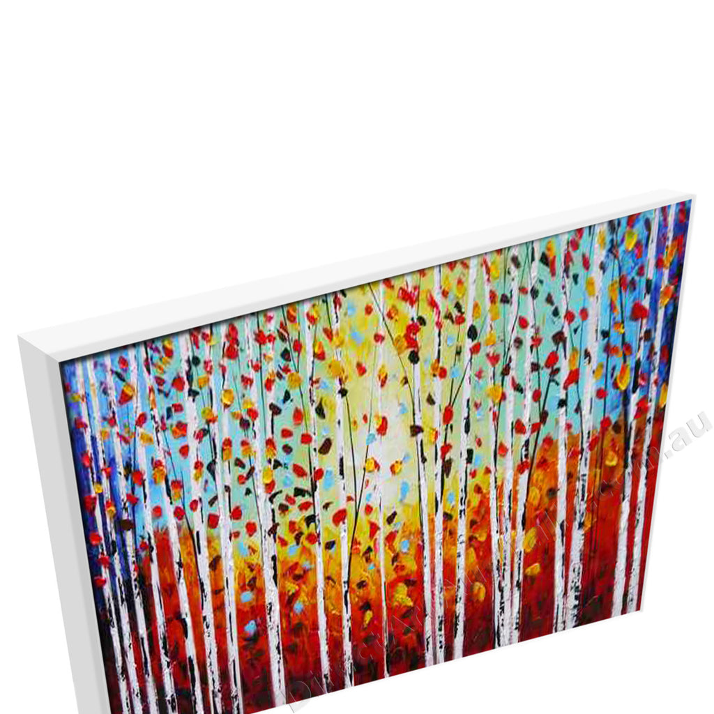 White Floating Frame