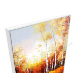 White Floating Frame