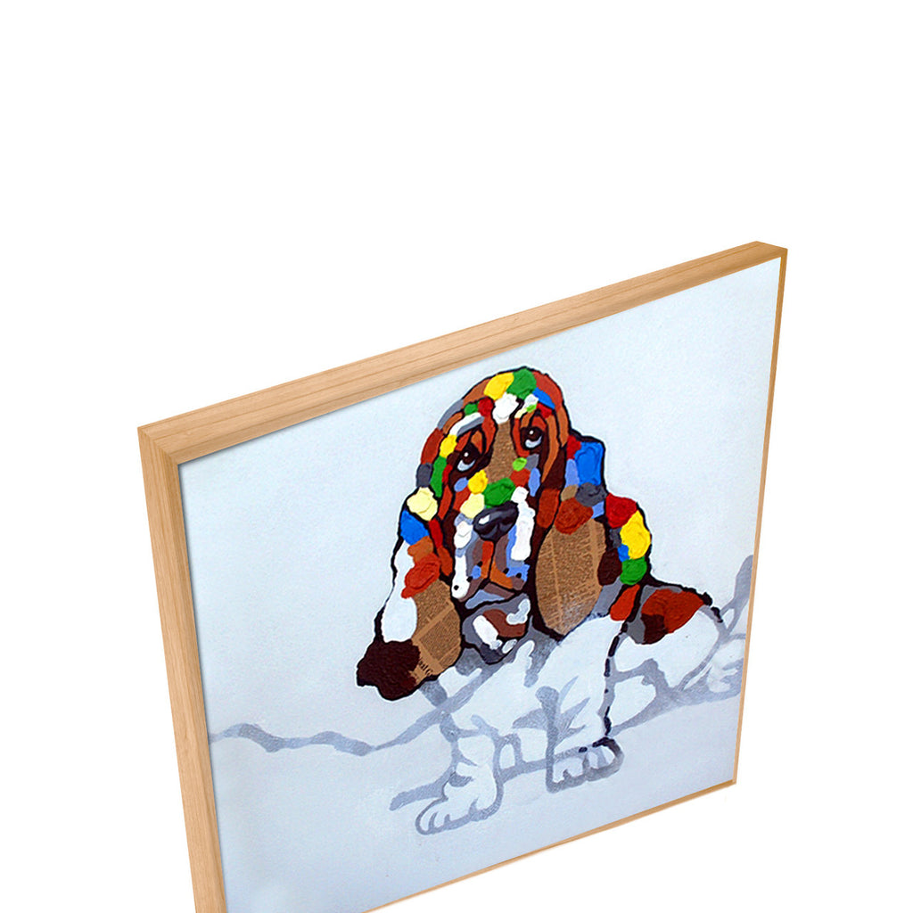 MACY-018