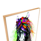 Colorful Horse