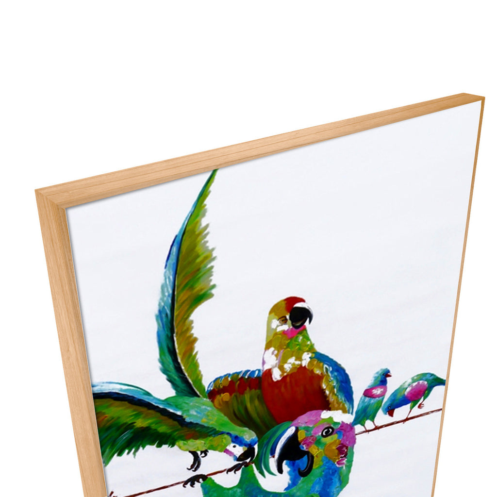 Playful Birds
