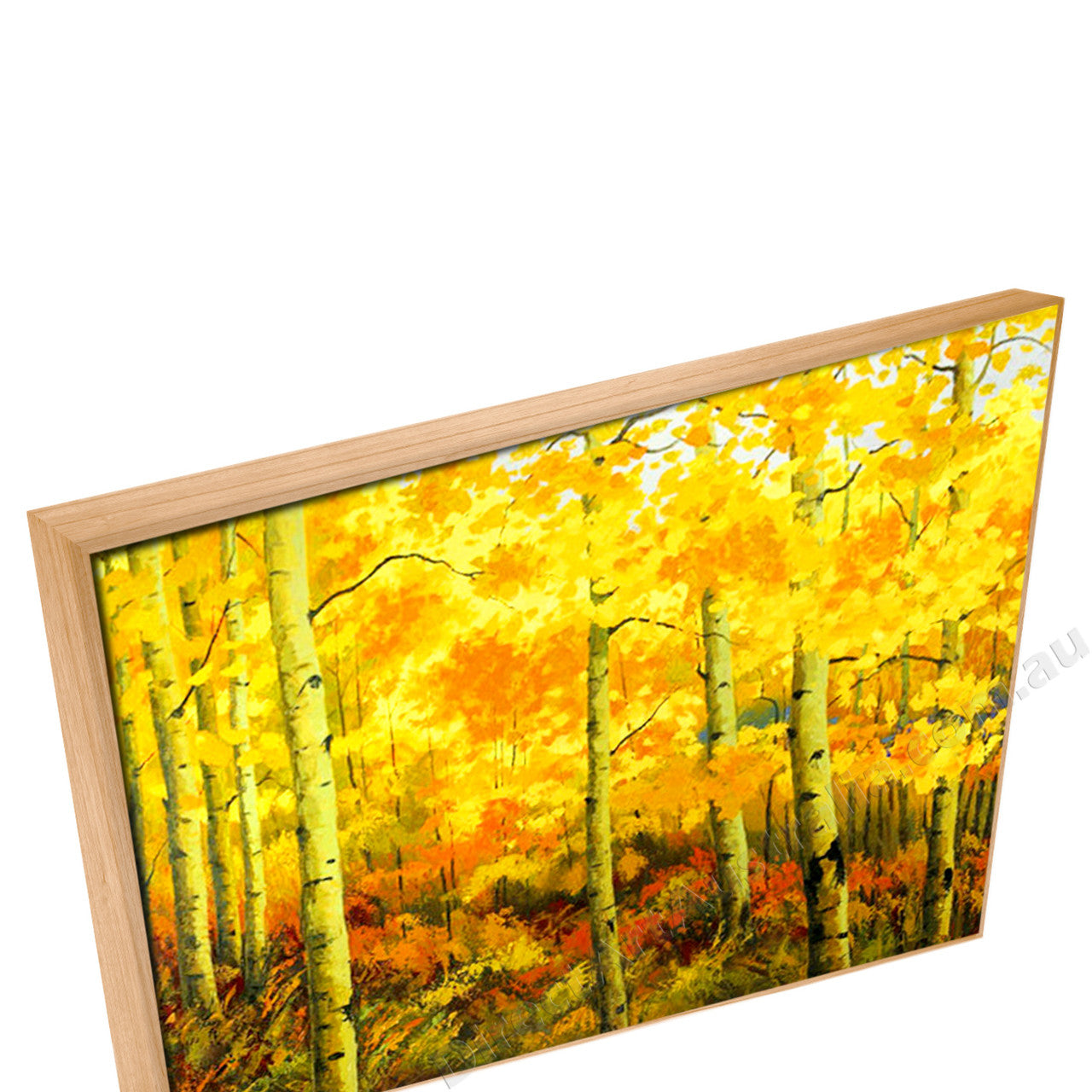 Natural Floating Frame