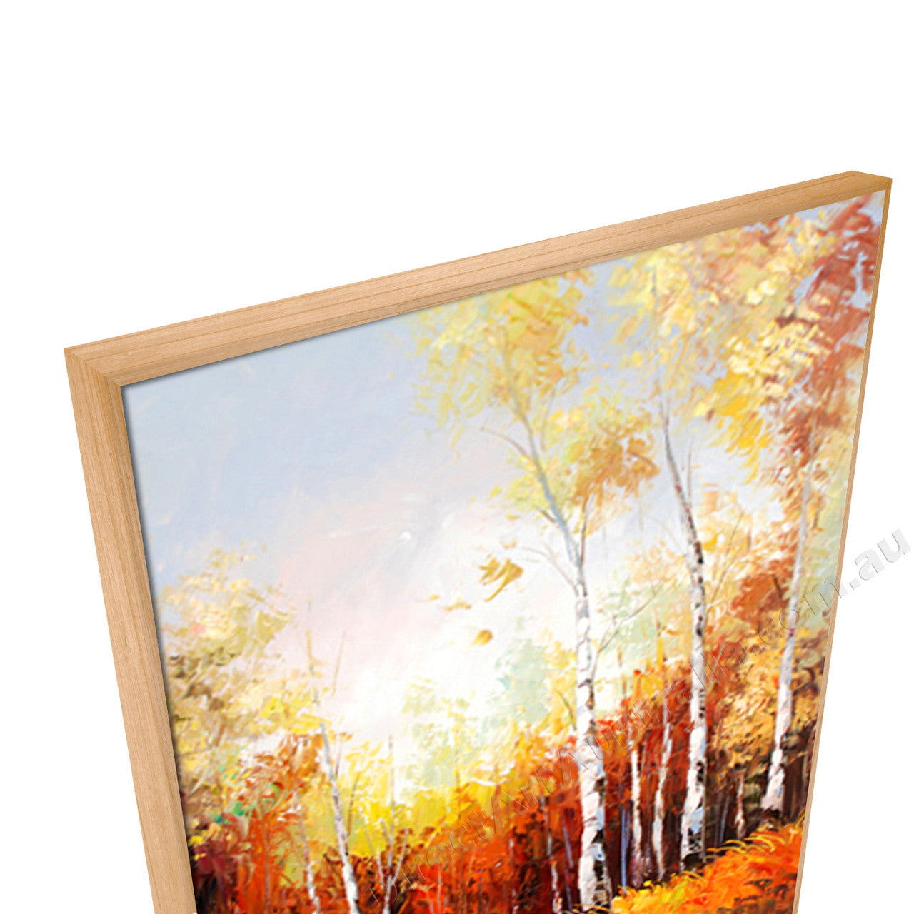 Natural Floating Frame