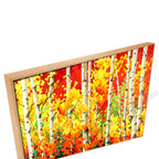 Natural Floating Frame