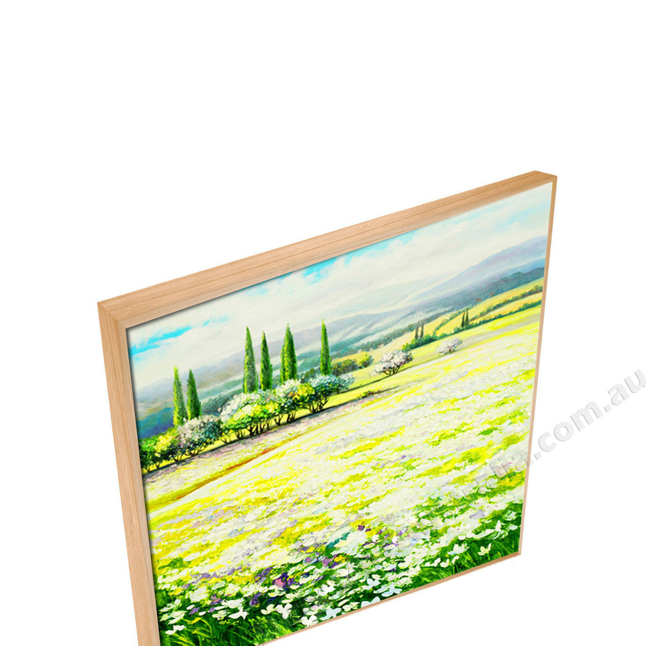 Natural Floating Frame