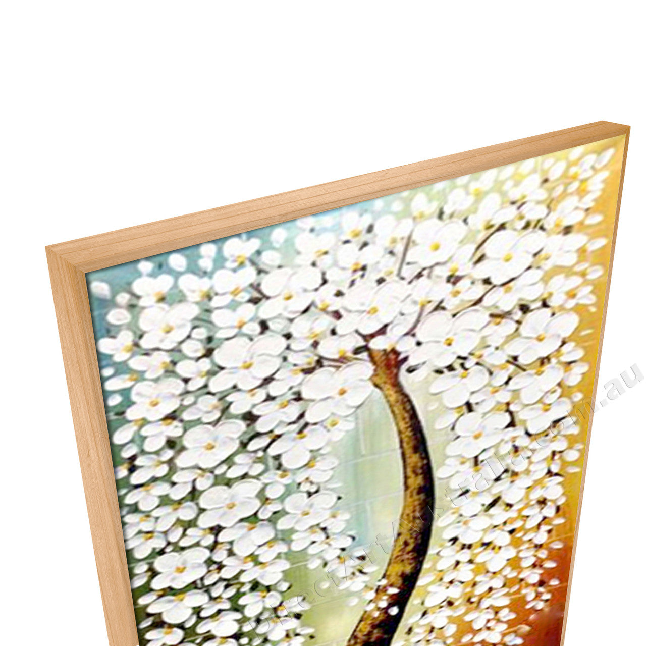 Natural Floating Frame