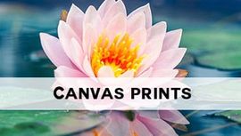 Buy Wall Art Prints & Paintings on Canvas | Online Gallery