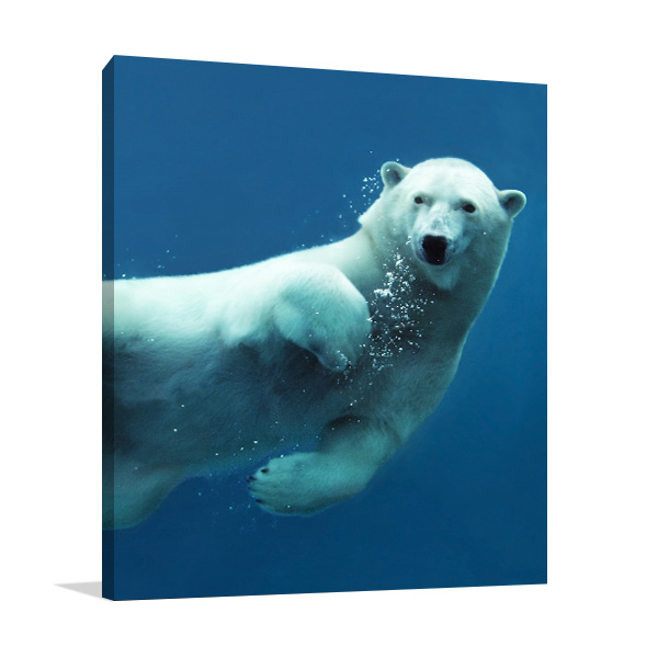 Swimming Polar Bear Art Print In Framed Canvas Prints Online