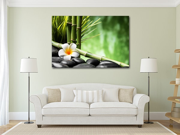 58 Best Photos Pet Photo Canvas Art - The Gladiator: Custom Pet Canvas - Paw & Glory